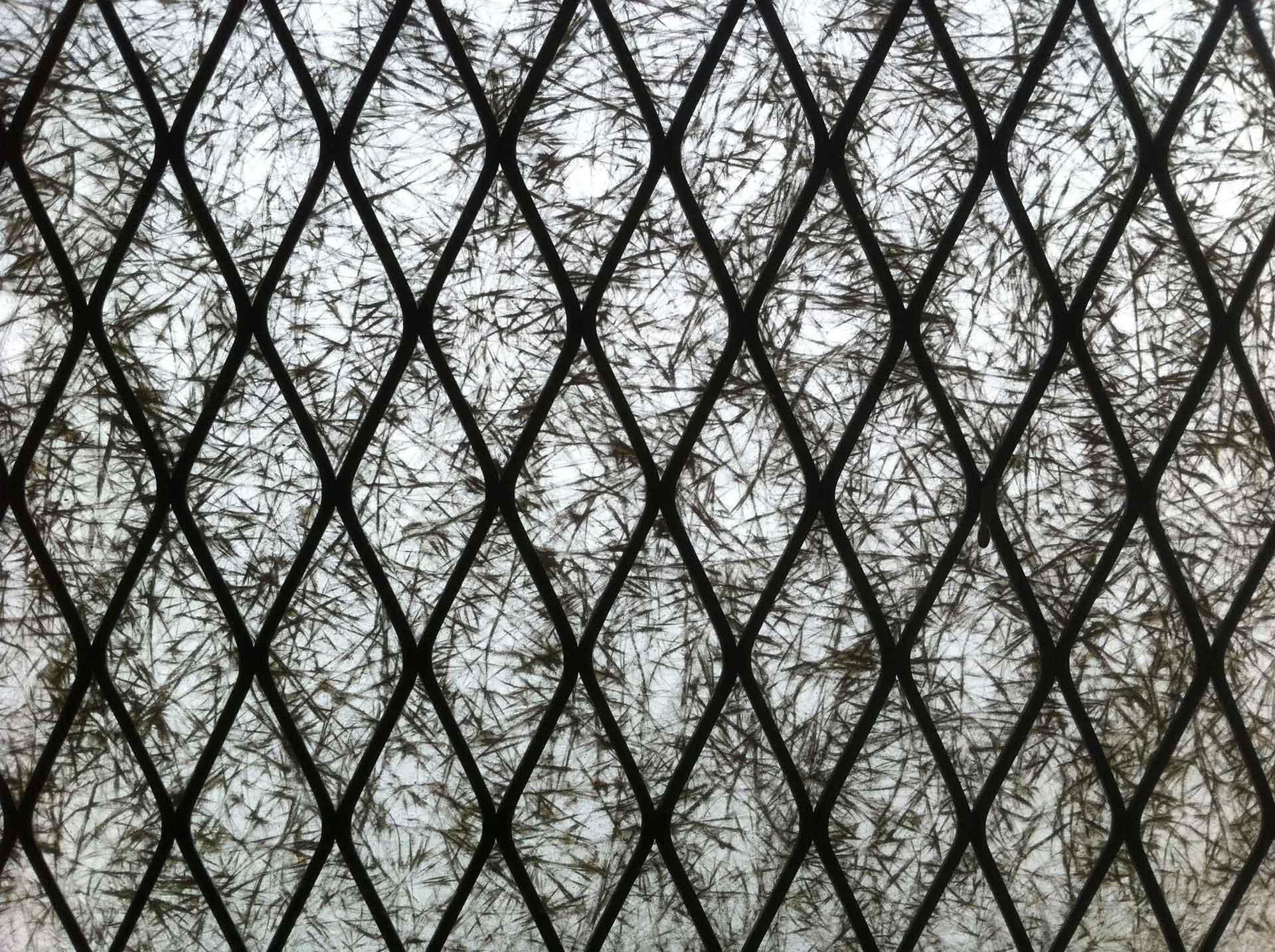 Transitions 2 Material Revolution
