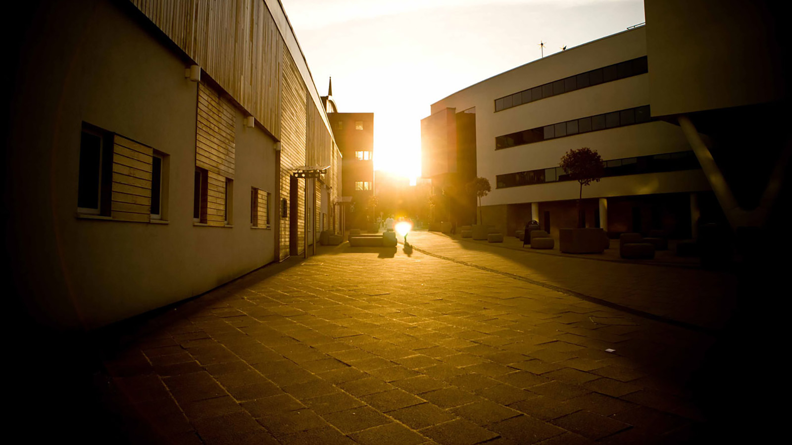 A beautiful photograph of a setting sun on the University of Huddersfield campus. Everything is very yellow.