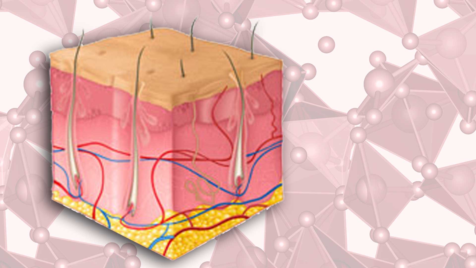Institute for Skin integrity and infection prevention