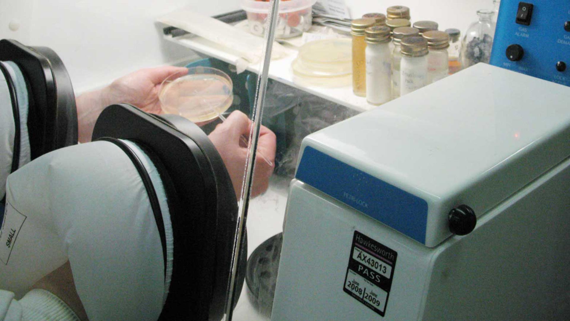 Researcher working at a clean room cabinet viewed through a petri dish containing a gel and organisms