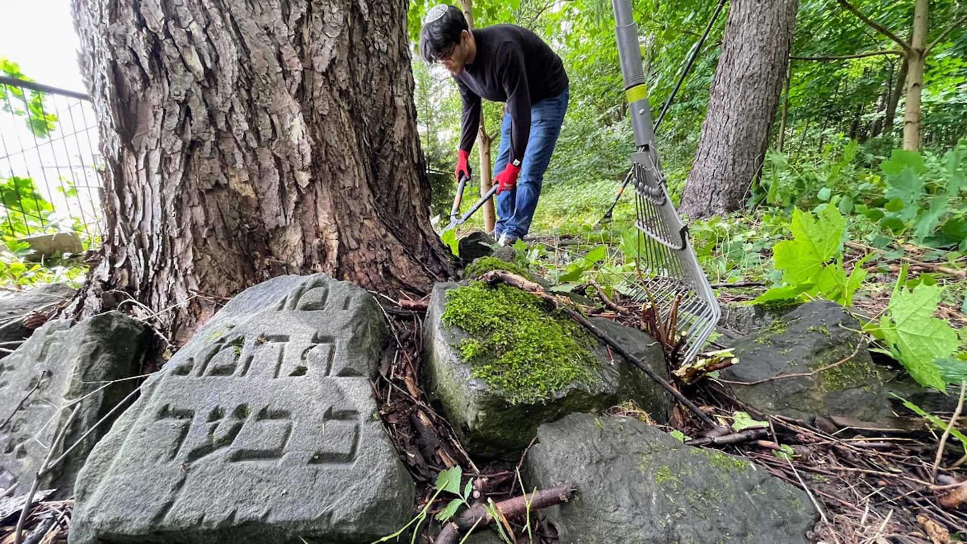 Restoration and cleaning work at Pryzysucha